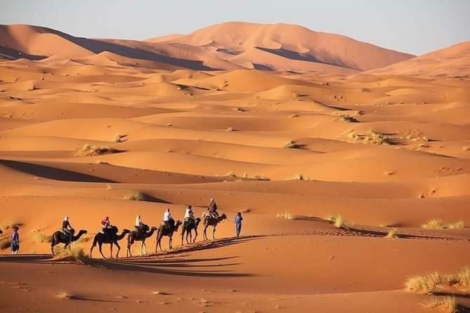 Merzouga Camel Trekking Camp Dış mekan fotoğraf
